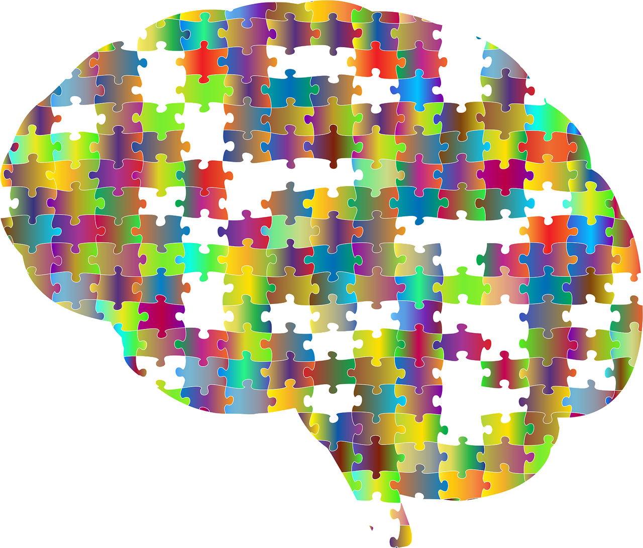 El Cerebro Humano Tarda En Madurar Cuaderno De Cultura Cient fica