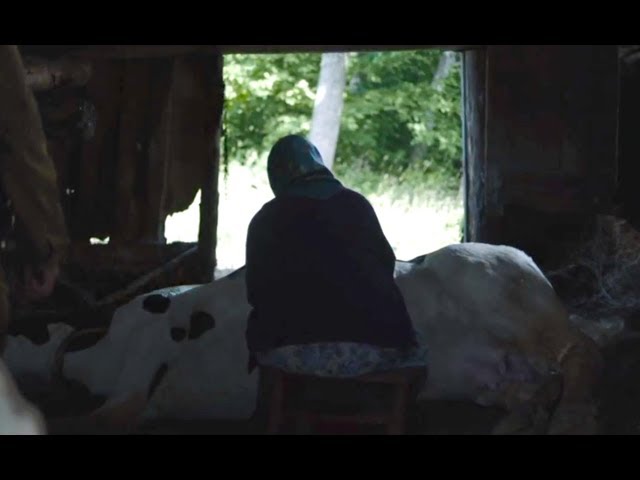 Chernobyl (2019) &#8211; «This is your last warning!» &#8211; killing the cow scene [Czech subtitles]