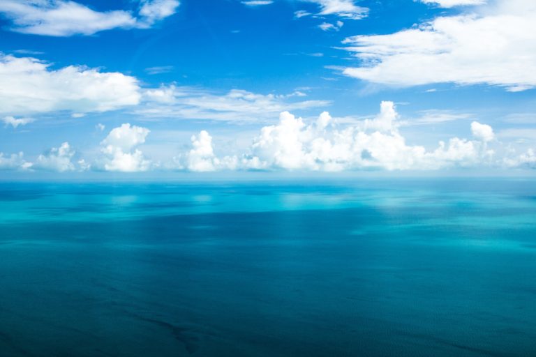 Planeta océano: el corazón líquido que nos mantiene vivos