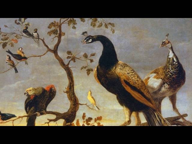 Le chant des oiseaux &#8211; Clément Janequin