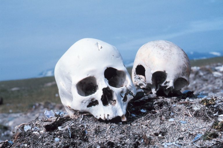 Datación de la muerte a partir de restos óseos humanos mediante técnicas no destructivas