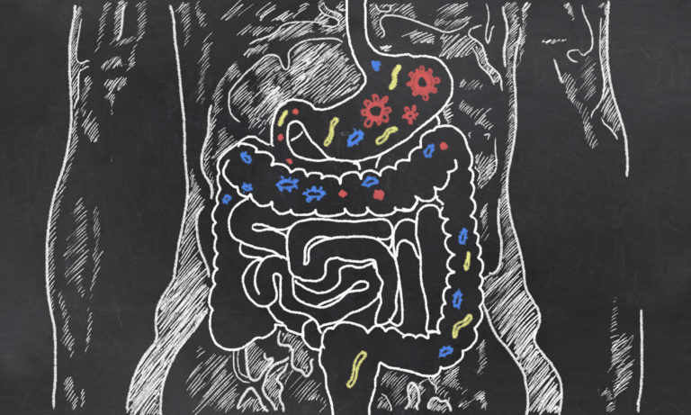 ¿Sirven los probióticos para tratar el síndrome metabólico?