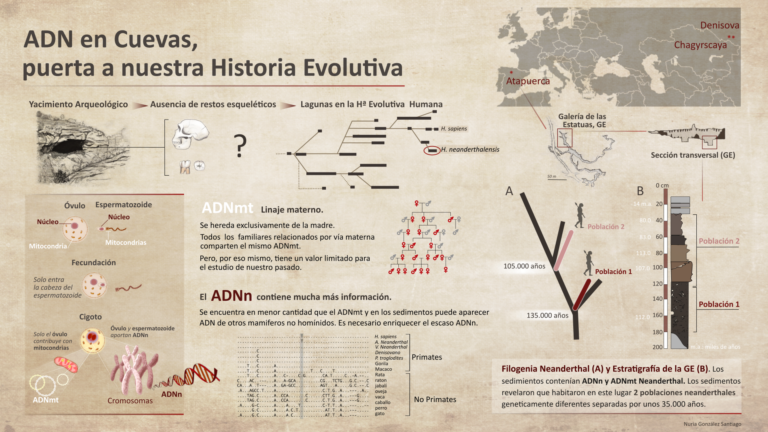 ADN en cuevas, puerta a nuestra historia evolutiva