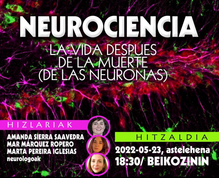 Neurociencia: vida después de la muerta (de las neuronas)