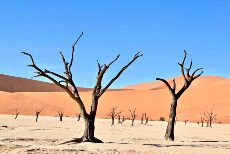Un llamamiento histórico para proteger África de la crisis climática
