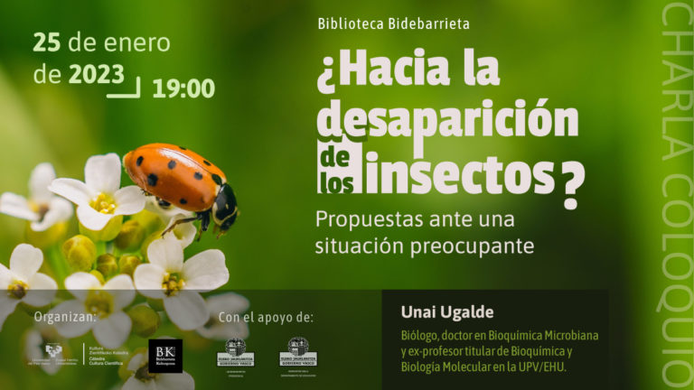 ¿Hacia la desaparición de los insectos? Propuestas ante una situación preocupante