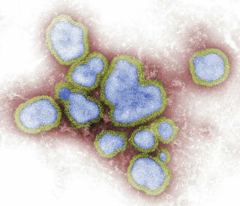 Acechantes ante la próxima gran epidemia de gripe
