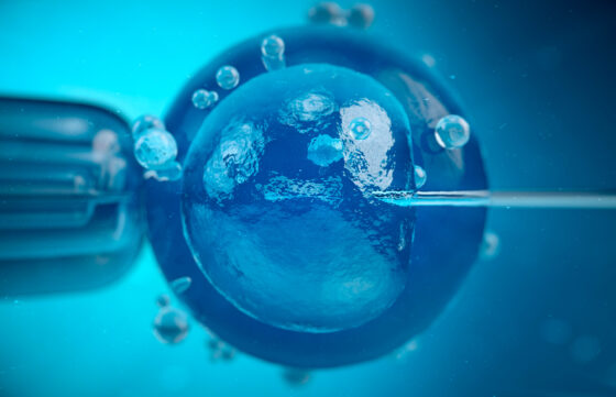Redefiniendo el embrión humano