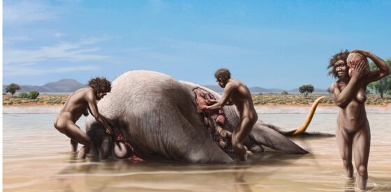 El día que humanos y tigres dientes de sable comieron de la misma mamut