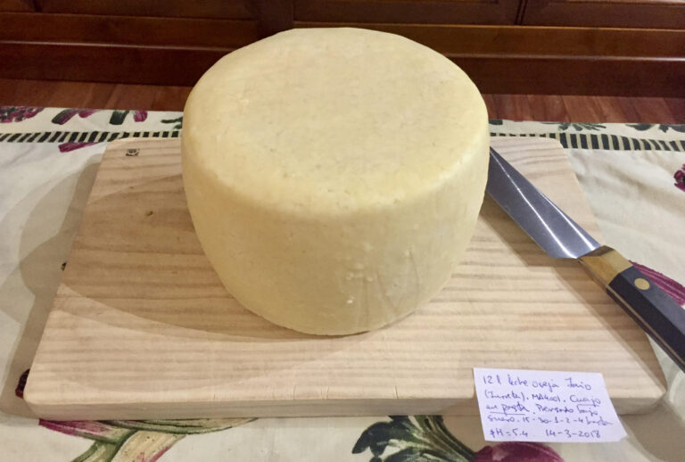 El queso, entre los genes y la cultura