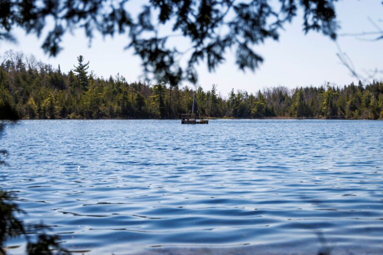 ¿Los lagos también necesitan afeitarse?