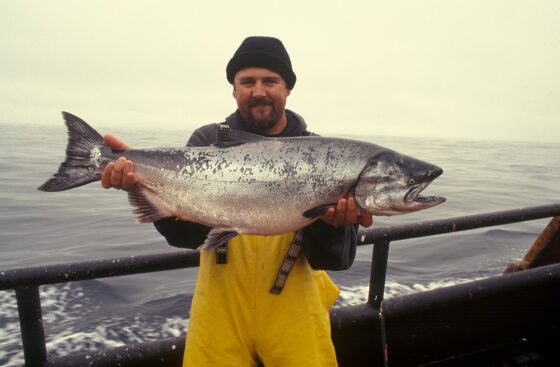 ¿Pescado salvaje o de acuicultura?