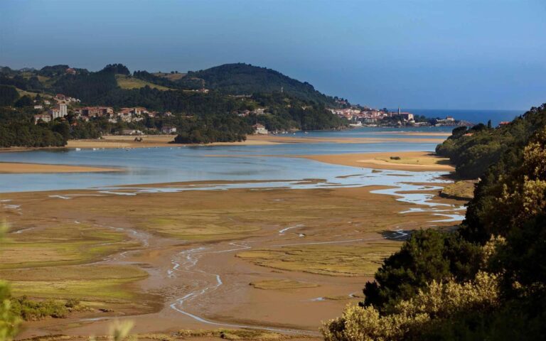 Del barro al ADN: cómo el ADN ambiental puede revelar la función de los microbios en los estuarios