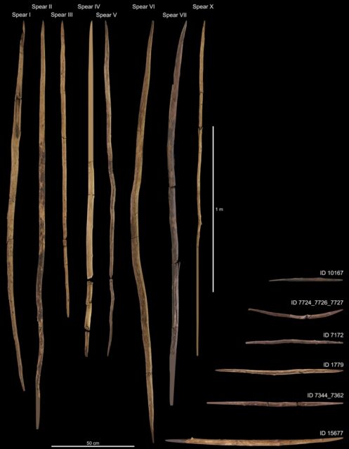 Las lanzas de Schöningen indican un comportamiento cooperativo neandertal hace 200.000 años