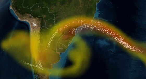 Los árboles pueden ayudarnos a predecir erupciones volcánicas