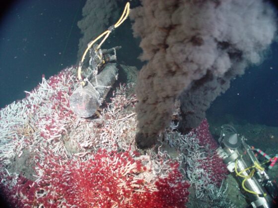 Fumatas geológicas en los fondos marinos