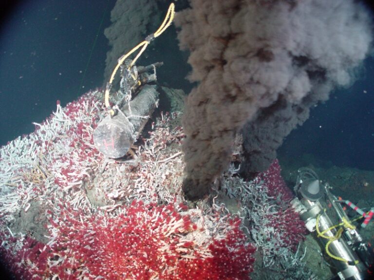 Fumatas geológicas en los fondos marinos