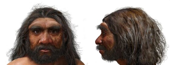 Confirmado: El «hombre dragón» es denisovano