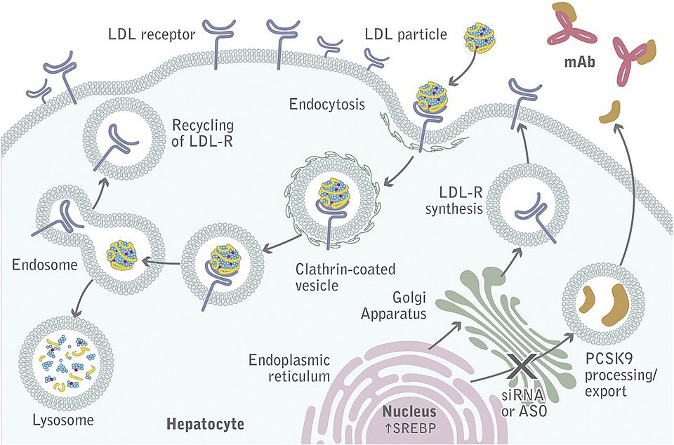 PCSK9
