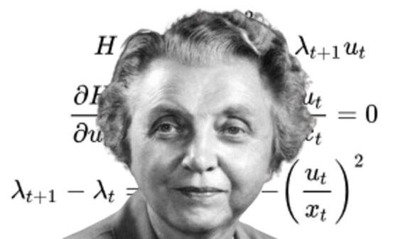 Irmgard Flügge-Lotz, pionera en teoría de control