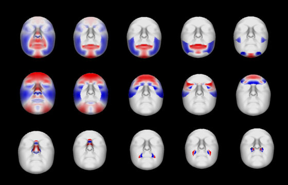 Poniéndole cara a una muestra de ADN