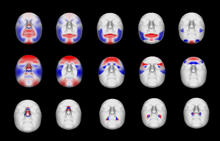 Poniéndole cara a una muestra de ADN