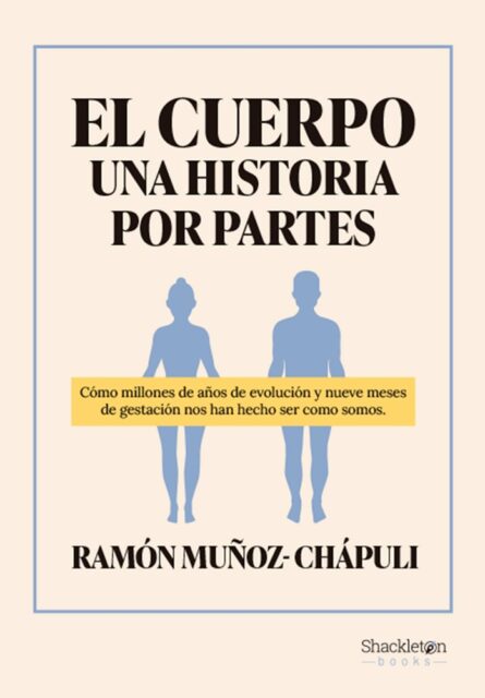 cuerpo