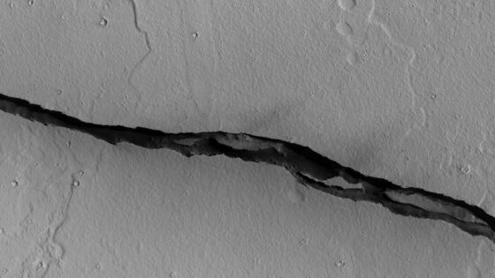 Una erupción islandesa como análogo planetario para Elysium Planitia