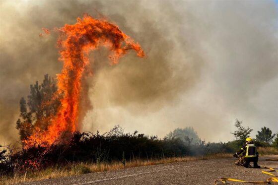 Fomentar la economía rural, el mejor antídoto contra los incendios