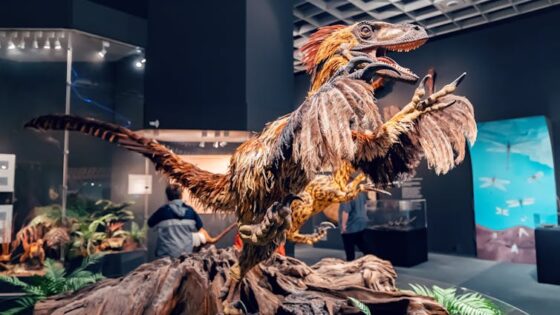¿Cómo se puede saber la apariencia de los dinosaurios si solo tenemos sus huesos?