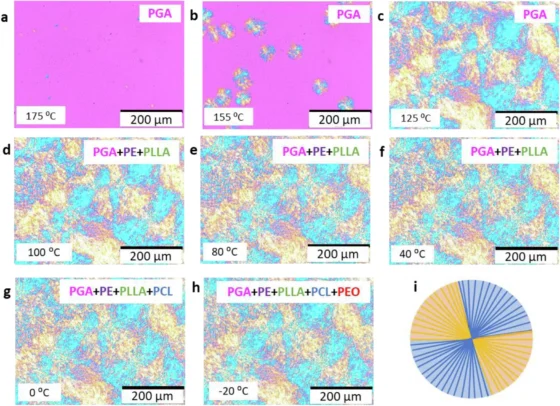 Cinco cristales distintos autoensamblados en un único quintopolímero