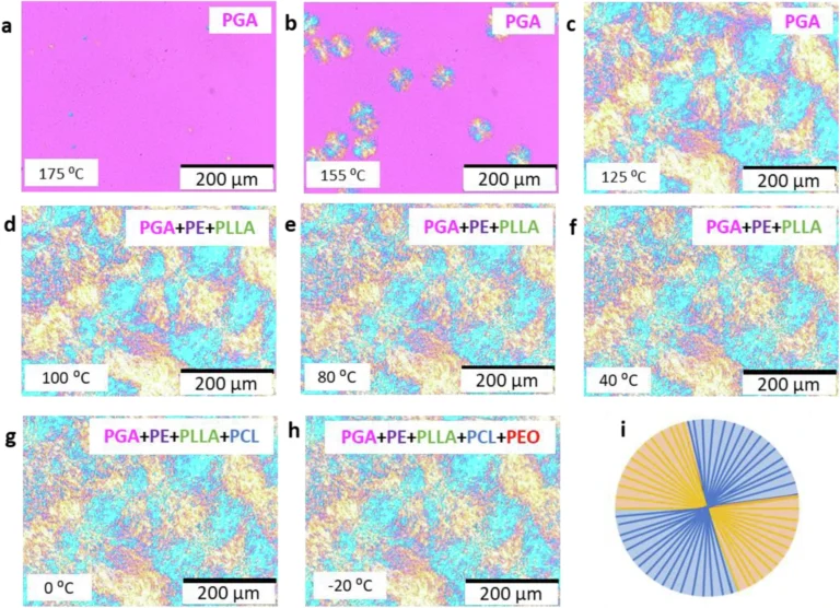 Cinco cristales distintos autoensamblados en un único quintopolímero