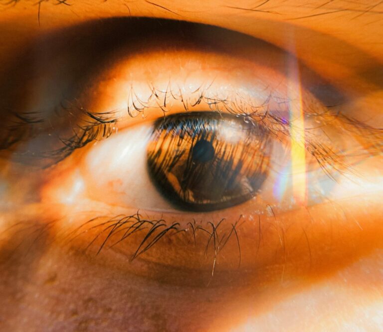 Nuestros ojos saben lo que hicimos el último verano