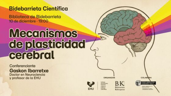 Mecanismos de plasticidad cerebral