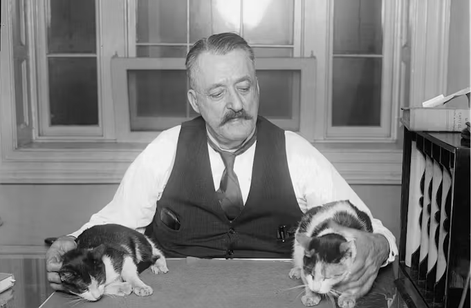 gato de Schrödinger 