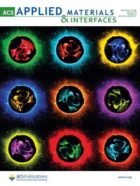 CellStudio permite interactuar con células y medir su respuesta en tiempo real