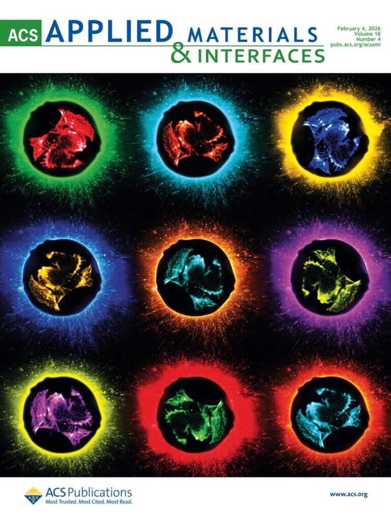 CellStudio permite interactuar con células y medir su respuesta en tiempo real