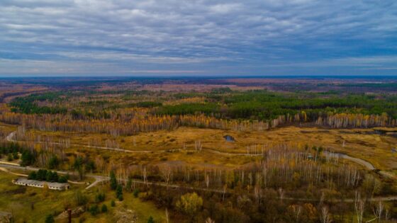 Chernóbil, 40 años después: un refugio natural en guerra