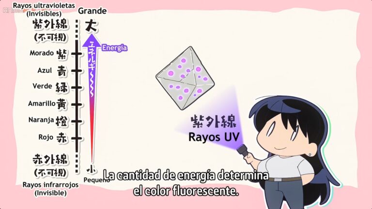 Imagen 2