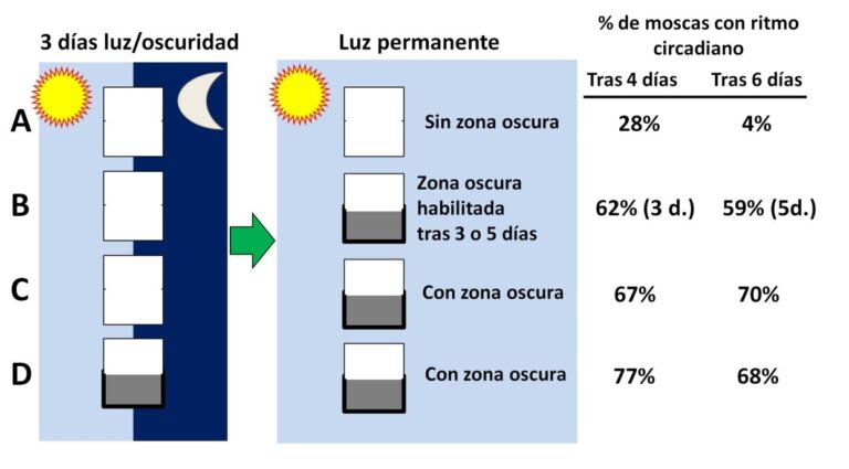 Imagen3