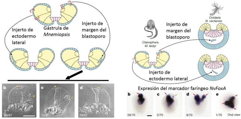Imagen3