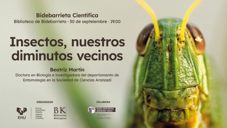 Insectos: nuestros diminutos vecinos