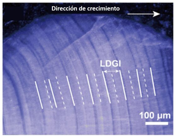 ¿Siempre ha habido eclipses solares y siempre los habrá?