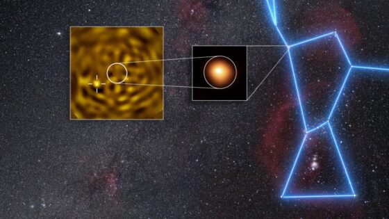 Durante cien años hemos buscado la acompañante de Betelgeuse… ahora tenemos foto