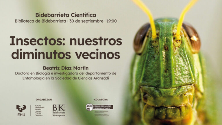 Insectos: nuestros diminutos vecinos