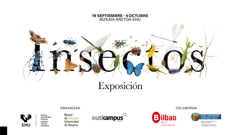 Insectos. Todo lo que cuentan