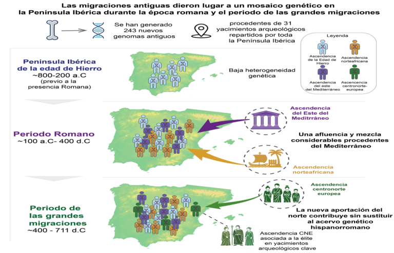 Roma convirtió Hispania en un mosaico genético que las invasiones germánicas apenas alteraron