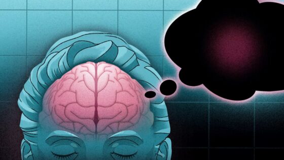 Unas ondas sorprendentemente complejas revelan el funcionamiento interno del encéfalo